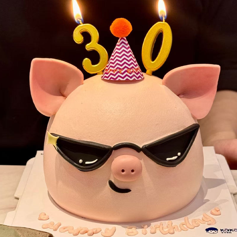 糖堡森林网红酷炫眼镜小猪翻糖切模猪猪生肖猪生日蛋糕模具压模