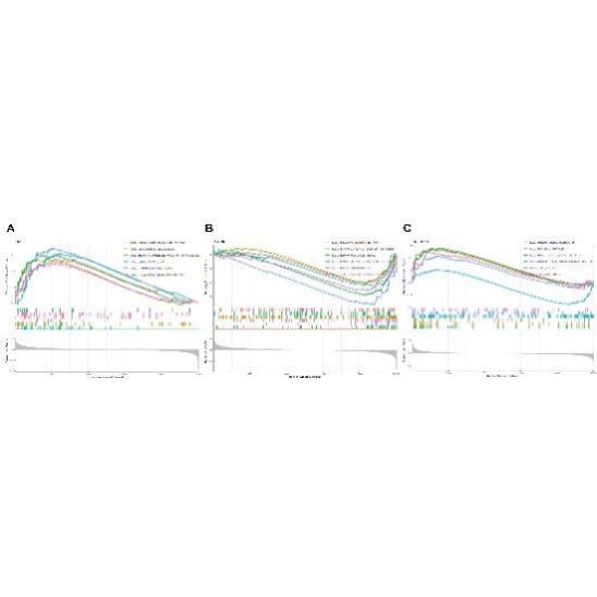生信分析生物转录组服务2-8geo数据挖掘单细胞测序分析网络药理