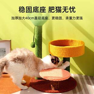 新款 劍麻仙人掌貓爬架貓抓板貓抓柱貓窩貓?zhí)_貓咪玩具跨境