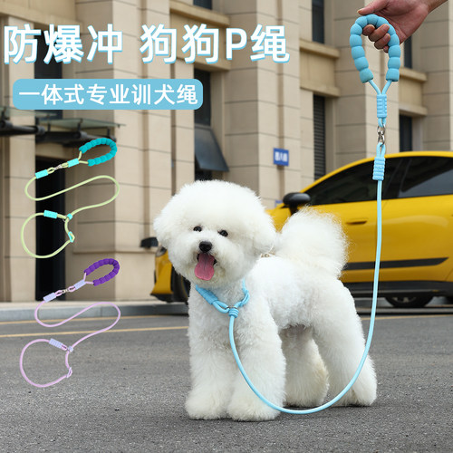 P链P绳狗狗牵引绳遛狗链子小中大型犬训犬防爆冲打结金毛宠物用品