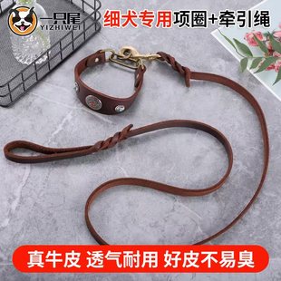 真皮细犬专用项圈格力惠比特灵缇脖套猎犬专用项圈牵引绳细犬脖圈