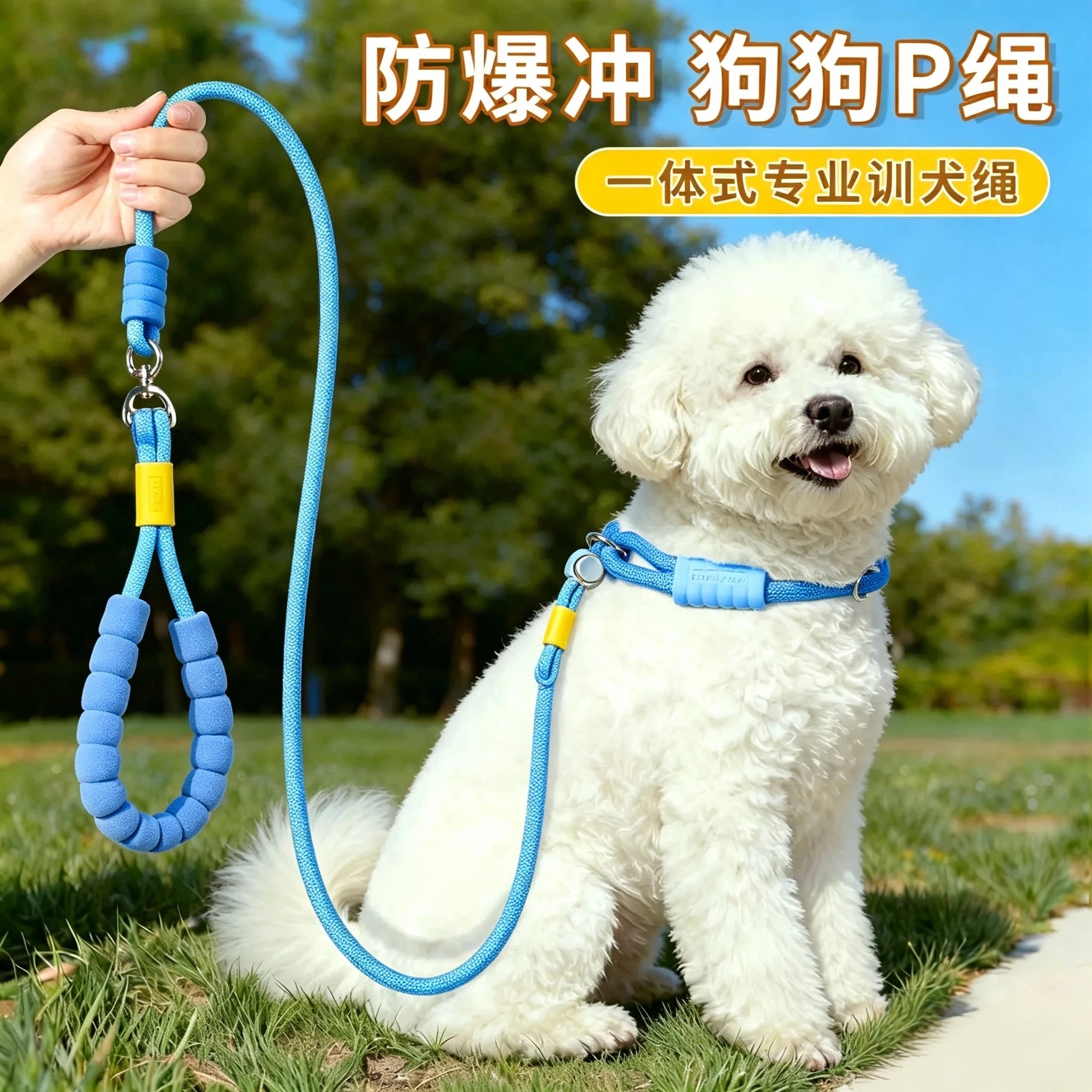 P链P绳狗狗牵引绳遛狗链子小中大型犬训犬防爆冲打结金毛宠物用品
