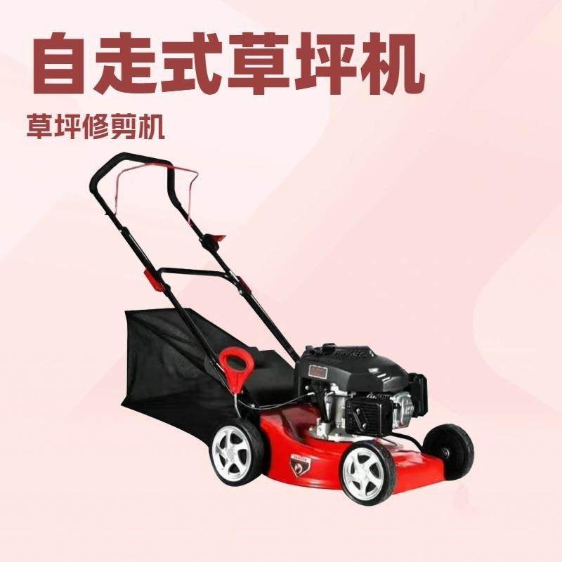 汽油款手推式草坪机19寸20寸21寸自走式草坪机园林绿化草坪修剪机,鲜花速递/花卉仿真/绿植园艺,割草机/草坪机,淘宝优惠券,粉丝福利购,淘宝优惠卷