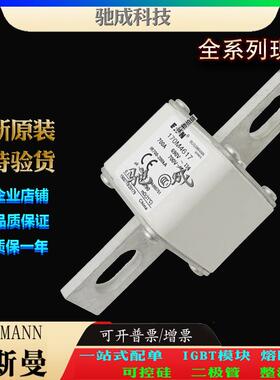 巴斯曼170M4616 170M4617 170M4618 厂家供货质优价廉 低压熔断器