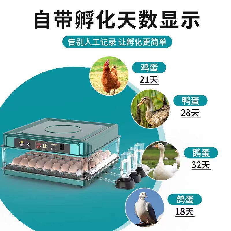 孵化器小型家用型全自动智能孵化机芦丁小鸡鸭鹅孵蛋器鹦鹉孵化箱
