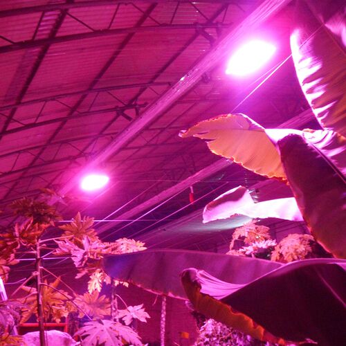 LED全光谱太阳灯防水20W30W50W100W植物灯投光灯室外生长补光多肉