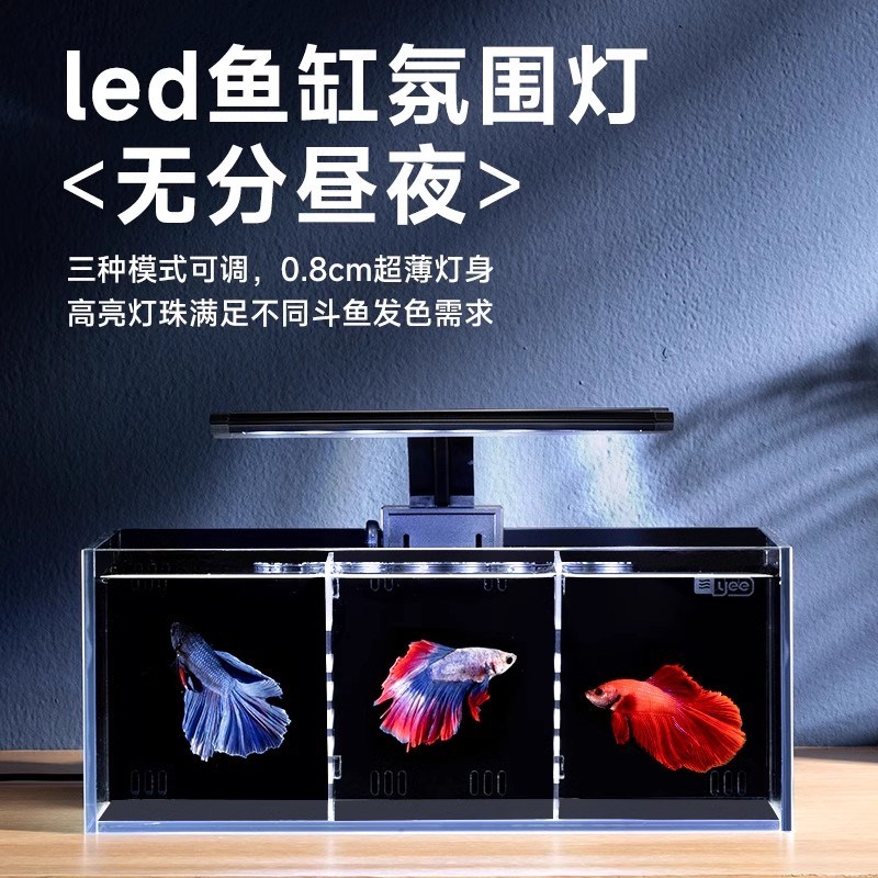 yee超白斗鱼缸玻璃背滤多格隔离带过滤客厅小型生态斗鱼双缸排缸