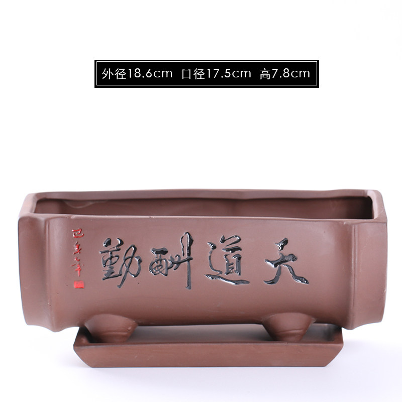 紫砂花盆陶瓷大号六月雪带托盘创意长方形家用多肉文竹菖蒲盆栽