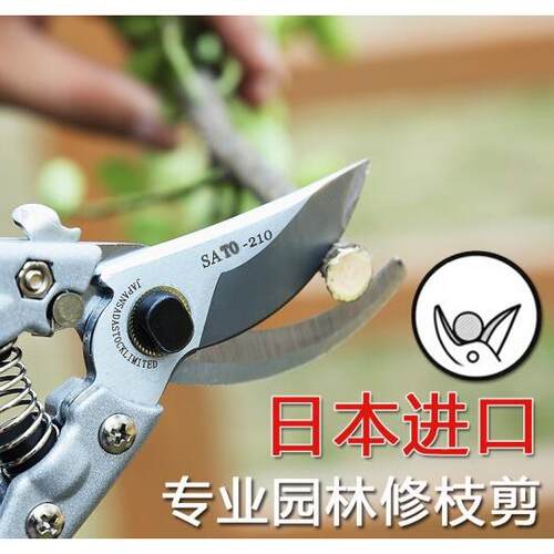 花枝剪苗木剪园林花木剪树枝果树剪子粗枝剪修枝剪园艺剪刀进口