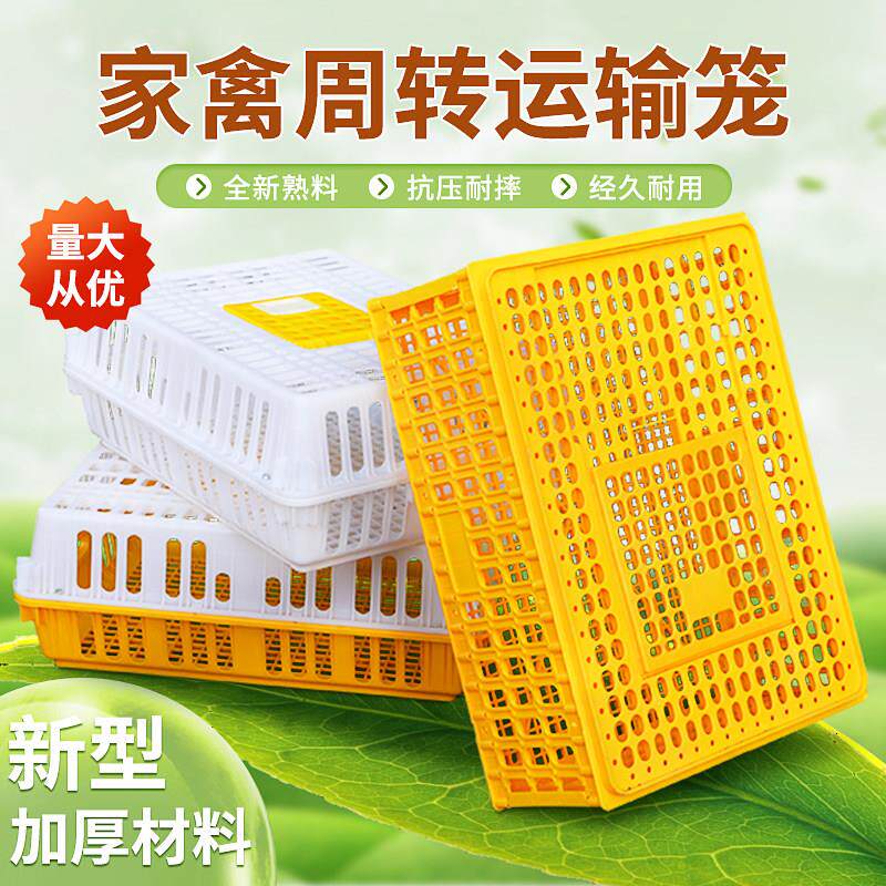 鸡笼周转箱塑料家禽运输笼特大成鸡鸭鹅筐加厚大号家用兔笼运输箱