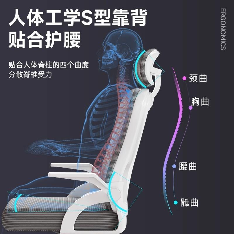电脑椅家用电竞椅久坐不累打游戏椅子职员办公椅靠背舒适时尚凳子