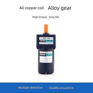 飞腾微型直流有刷齿轮减速电机6W~300Wdc12V~220V变速箱