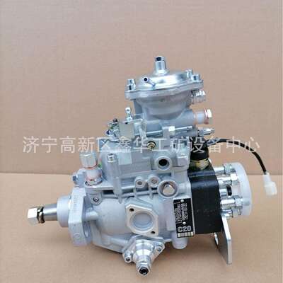 专业供应各类型号VE泵总成22100-1C201 221001C201