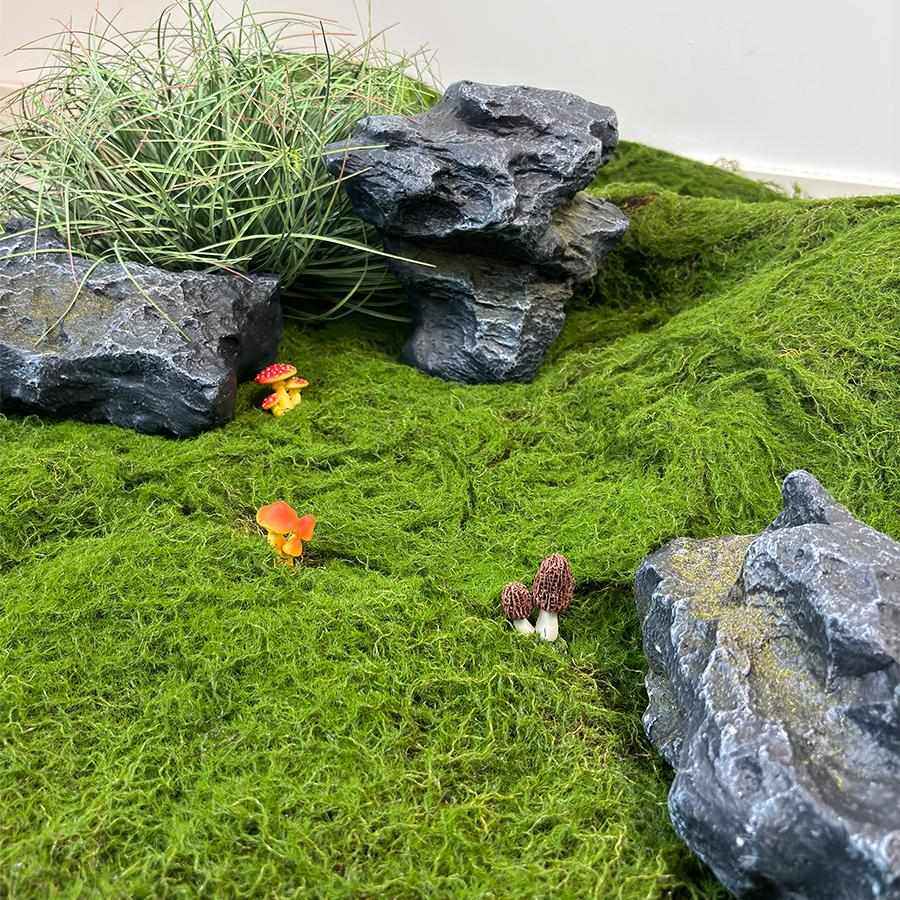 仿真草坪绿色青苔微景观盆景造景假石头英德石装饰草皮苔藓绿植,鲜花速递/花卉仿真/绿植园艺,仿真绿植,淘宝优惠券,粉丝福利购,淘宝优惠卷
