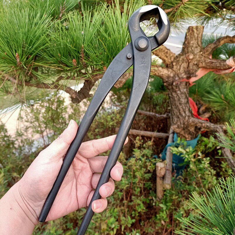 290加强型大号球节剪球钳盆栽造型球形剪大盆景修剪工具树节剪刀