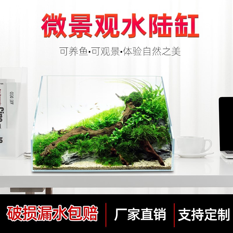 水陆两栖缸超白鱼缸植物造景缸微景观斜口造景缸乌龟生态缸雨林缸