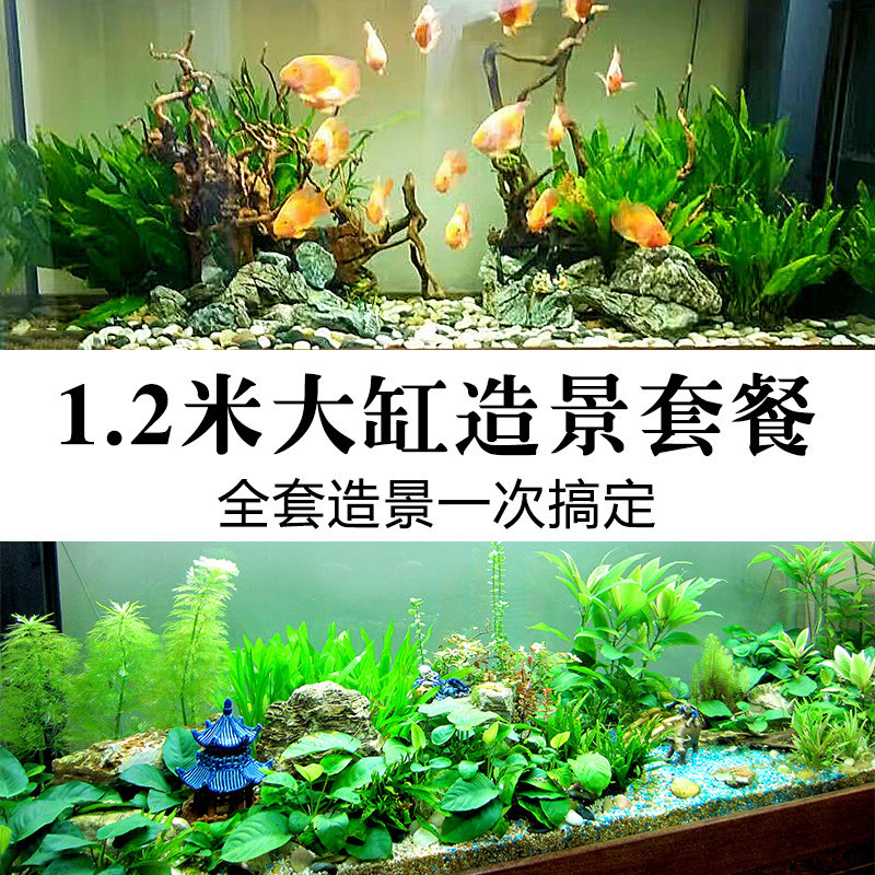 鱼缸造景套餐真水草沉木1.2米水族箱假山石成品全套活体水草包邮