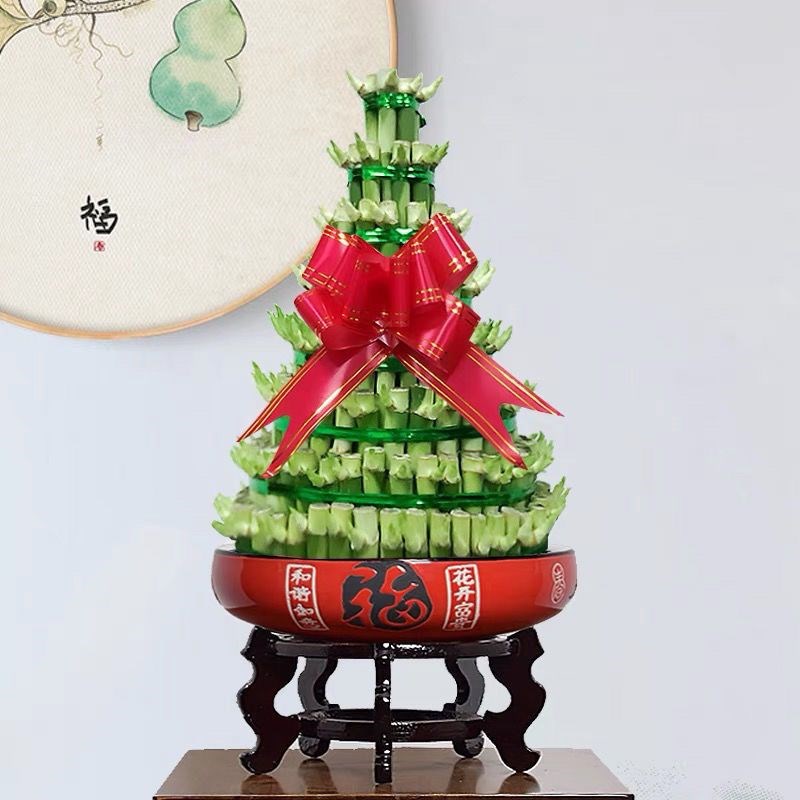 水培招财竹富贵竹转运竹开运竹宝塔竹节节高竹塔保证带叶带芽发货
