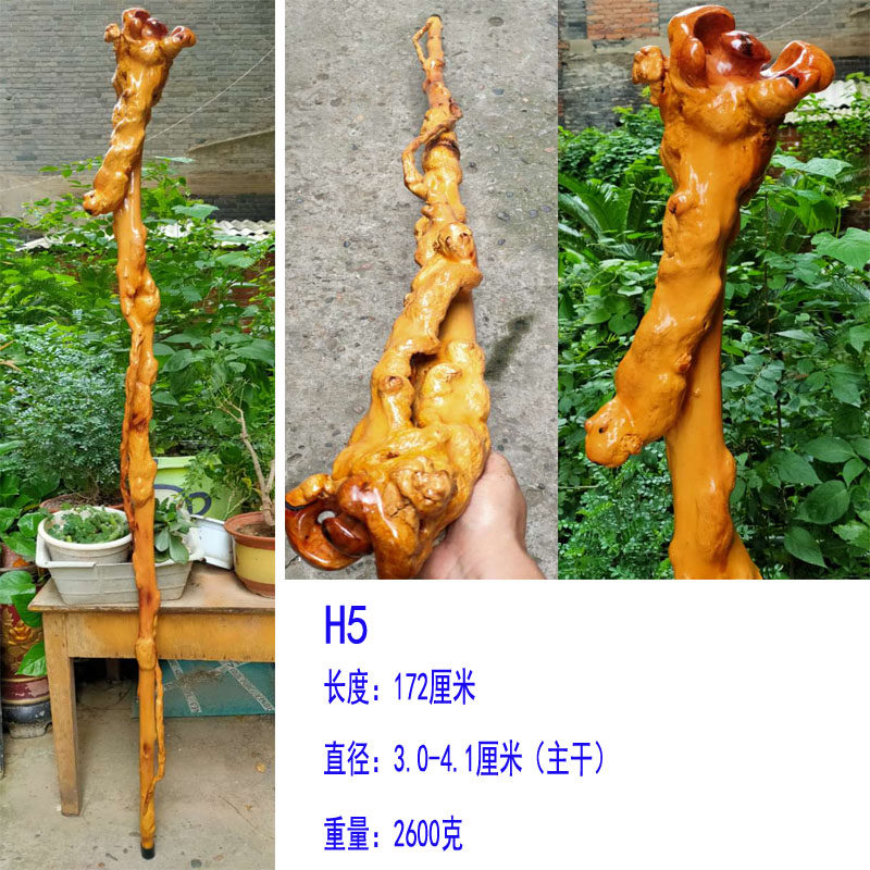 云南黑果木红茶树原生象形新品实木拐杖一体禅杖根雕文玩收藏摆件