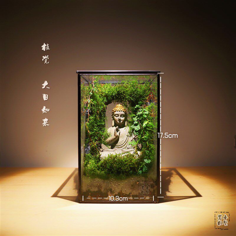 植觉成品苔藓沉木微景观雨林造景创意迷你植物好养盆景顺丰包邮