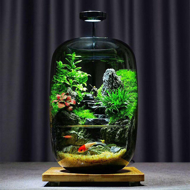 黑神话悟空苔藓微景观流水养鱼缸创意桌面生态瓶摆件造景办公室