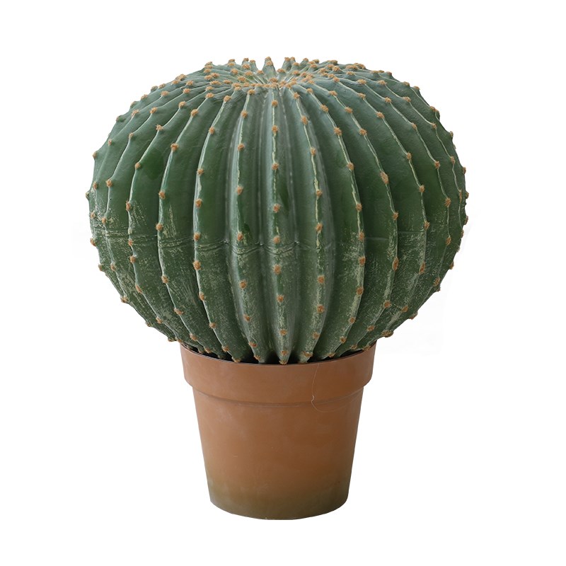 仿真植物网红仙人掌造景量天尺仙人柱类植物仙人球盆栽室内绿植
