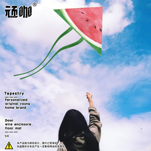 风筝山东潍坊 创意个性夏天清凉西瓜新手简单线轮易飞风筝二次元
