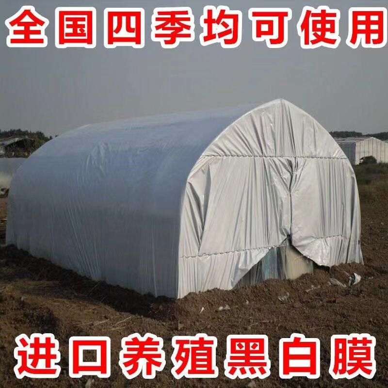 黑白膜进口养殖大棚加厚防晒隔热抗老化反光膜食用菌棚膜青储棚膜