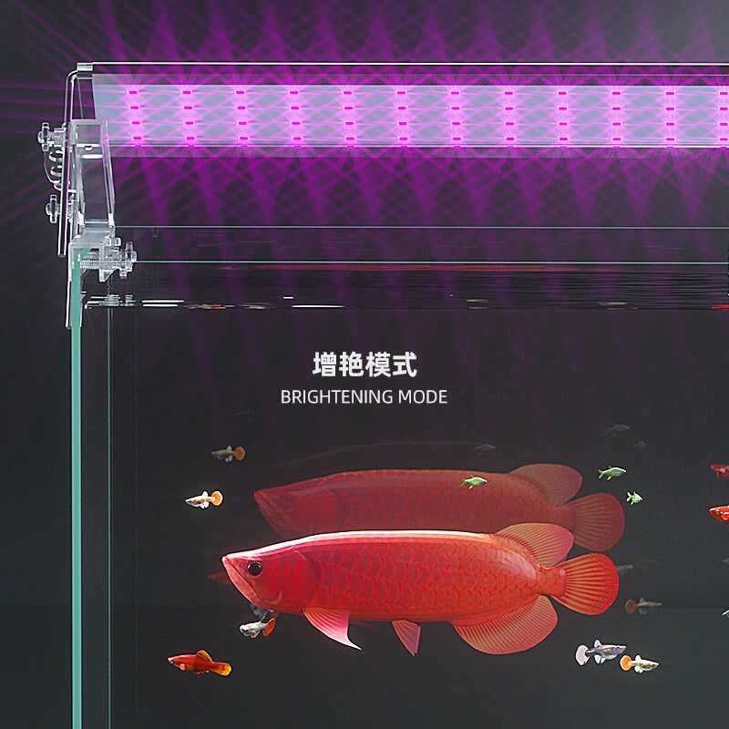 鱼缸灯节能灯led灯照明灯乌龟造景水草灯防水灯中小型水族箱排灯