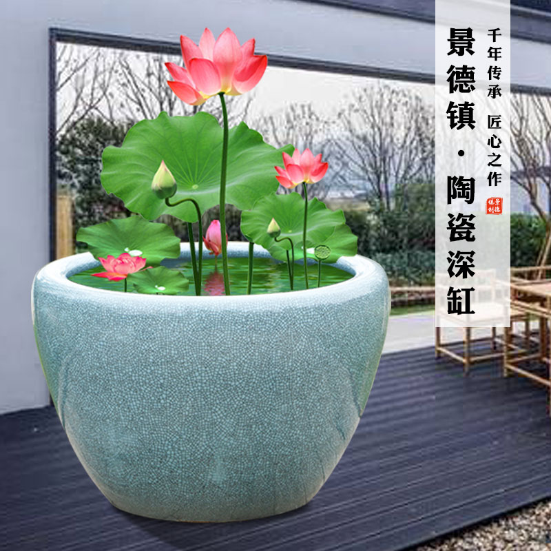 睡莲花盆青花瓷碗莲荷花盆水缸种铁树发财树花盆庭院特大陶瓷鱼缸