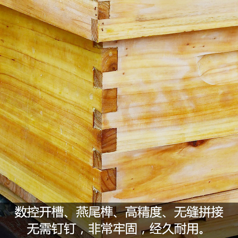 七框煮蜡蜂箱中蜂全套专用杉木7框平箱双面抛光养蜂工具小型土桶