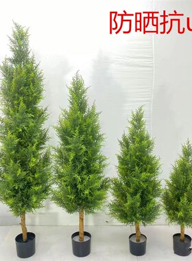 绿植盆栽仿真柏树松树假树室内装饰真植物圣诞树北欧家居摆件假花