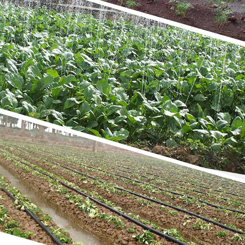 1寸2寸3寸4寸农用灌溉塑料水管微喷带滴灌浇地水带喷灌防爆软水管