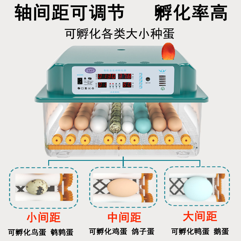 二队孵化机全自动小型家用型孵蛋器鹦鹉孵化箱鸭鹅鸽子小鸡孵化器