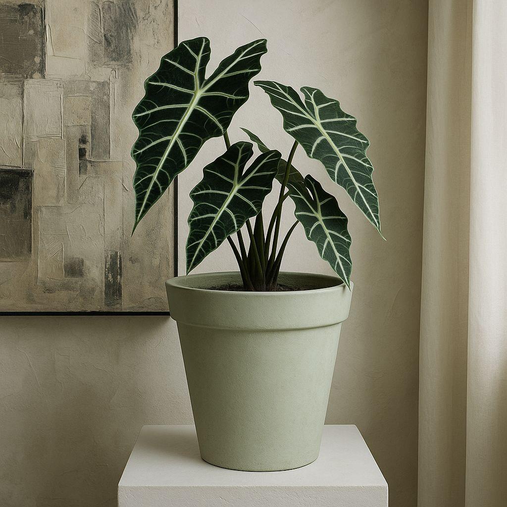 客厅落地大号创意个性水泥花盆北欧简约圆形透气深高盆月季盆栽