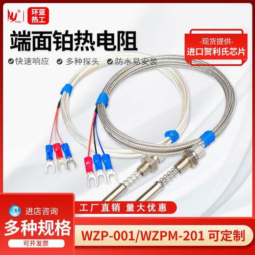 端面热电阻 铠装PT100铂热电阻传感器温度计WZP201M双支