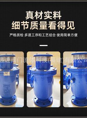 复合式R气阀CAX-RNN排16Q球铸铁法兰快速排气阀 进出口自动排气墨