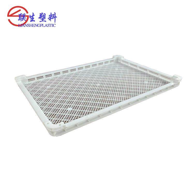 加厚塑料海鲜单冻器 芒果地瓜烘干盘密眼菊花晾晒网辣椒晒筛,包装,塑料周转箱,淘宝优惠券,粉丝福利购,淘宝优惠卷