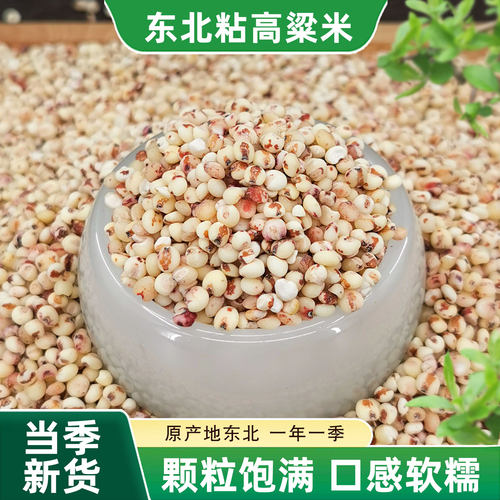 东北粘高粱米健康粗粮