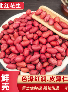 东北红衣生花生米农家小粒新鲜红皮红花生仁新货批发价原味散装