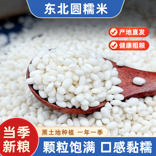 东北圆粒糯米2025年农家新米5斤珍珠白江米江糯米包粽子五谷杂粮