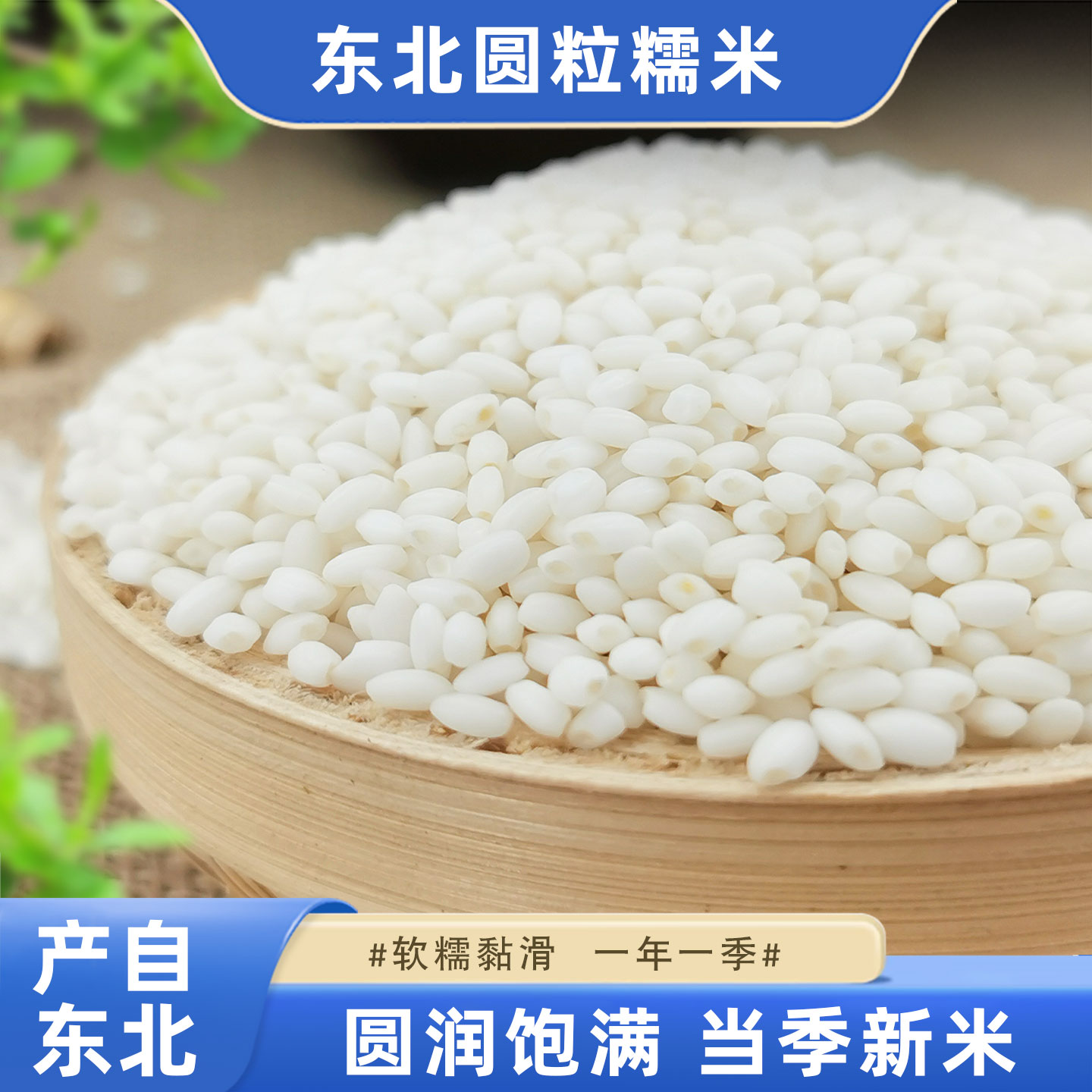 鲜农子东北糯米圆粒糯米