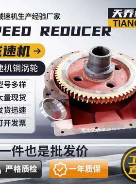 中频电炉减速机铜蜗轮RZS231/431/531/631现货供应中频炉蜗轮蜗杆