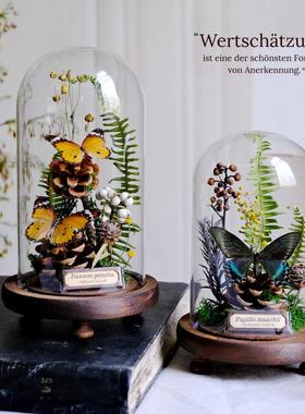 玻璃罩蝴蝶标本植物永生花干花摆件昆虫动物生态微景观礼物礼品