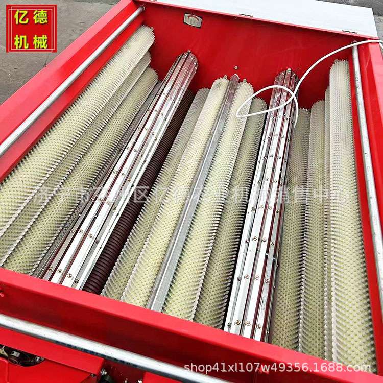 青皮核桃去皮机家用鲜核桃去皮清洗一体机脱扒皮核桃剥皮机械大型