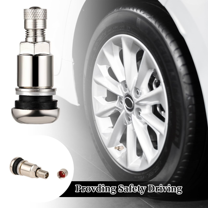 不锈钢气门嘴  不锈钢气嘴 充气阀 山地自行车减震器进气嘴