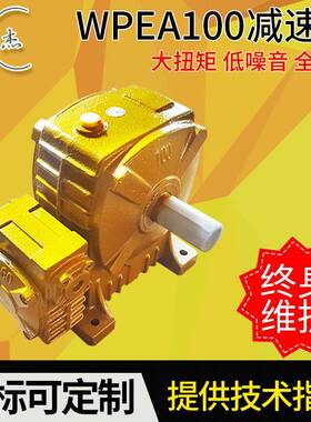 供应WPEA100#小型蜗轮直角减速机微型减速器