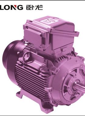 出口欧美NEMA标准电机NEXP-Division1GroupFGT3C防爆电机7.5