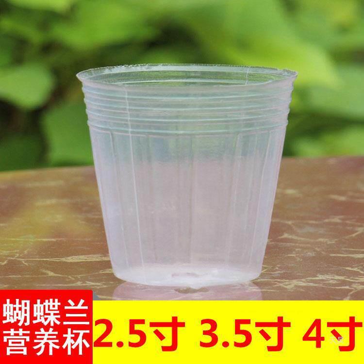 2.5寸3.5寸4寸蝴蝶兰营养杯 花卉植物栽培种植半透明塑料盆营养钵