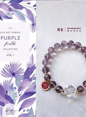 巴西紫水晶手串高净高透招贵人